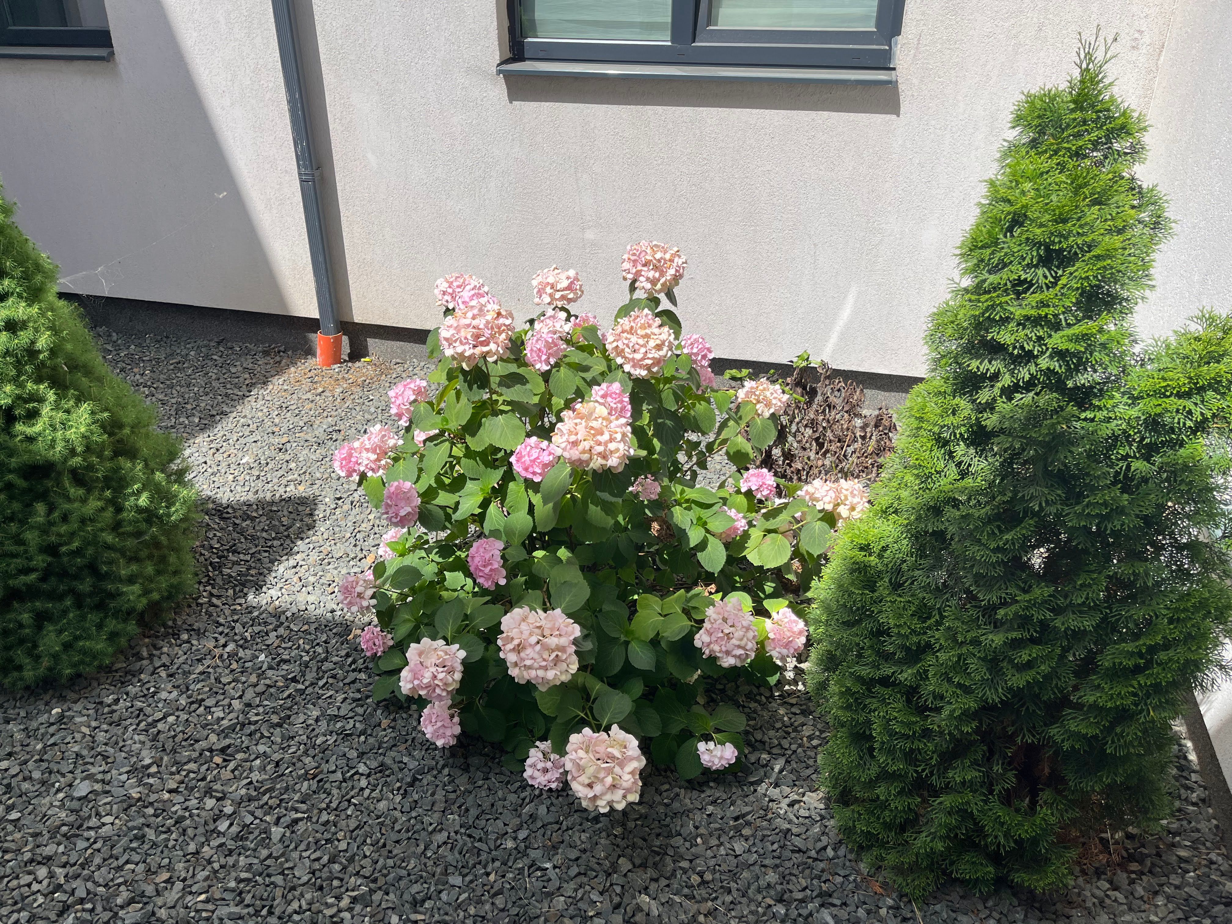 Image 116