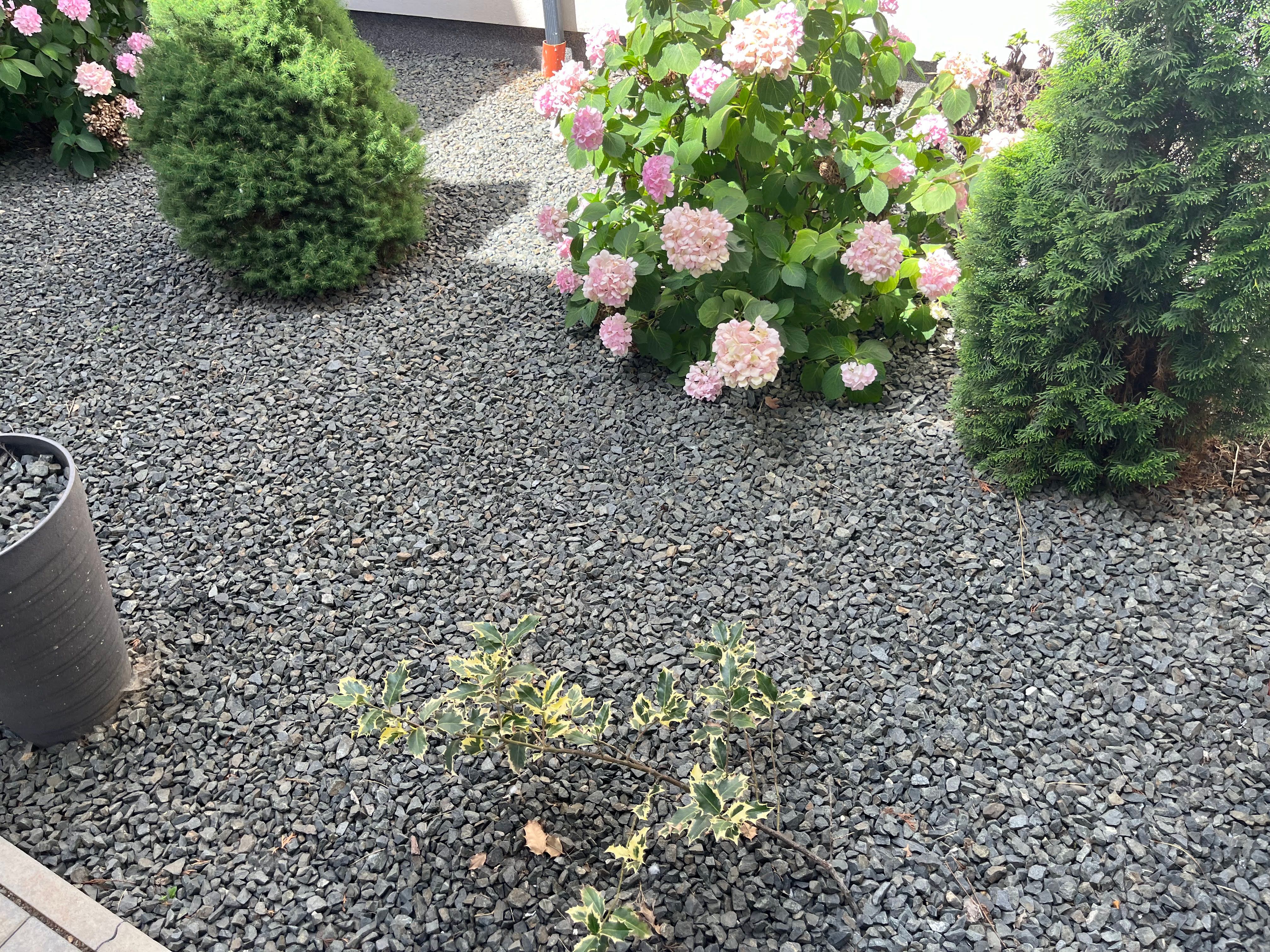 Image 125
